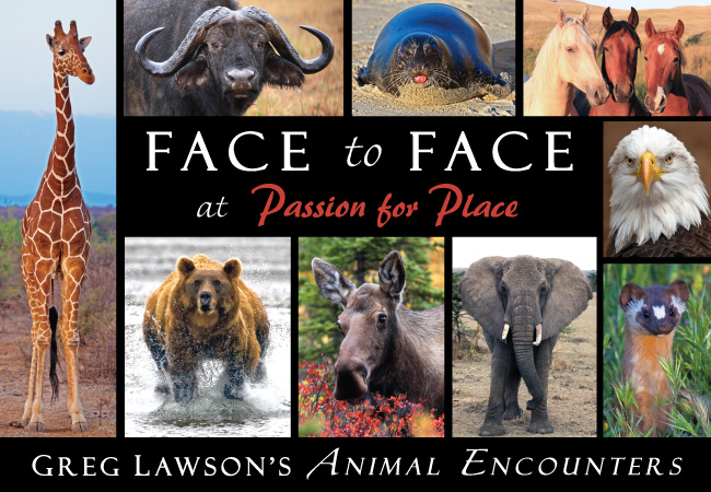 Photographer Greg Lawson's Face to Face Animal Encounters