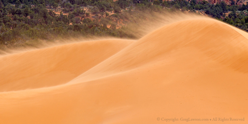 Utah Dune Greg Lawson