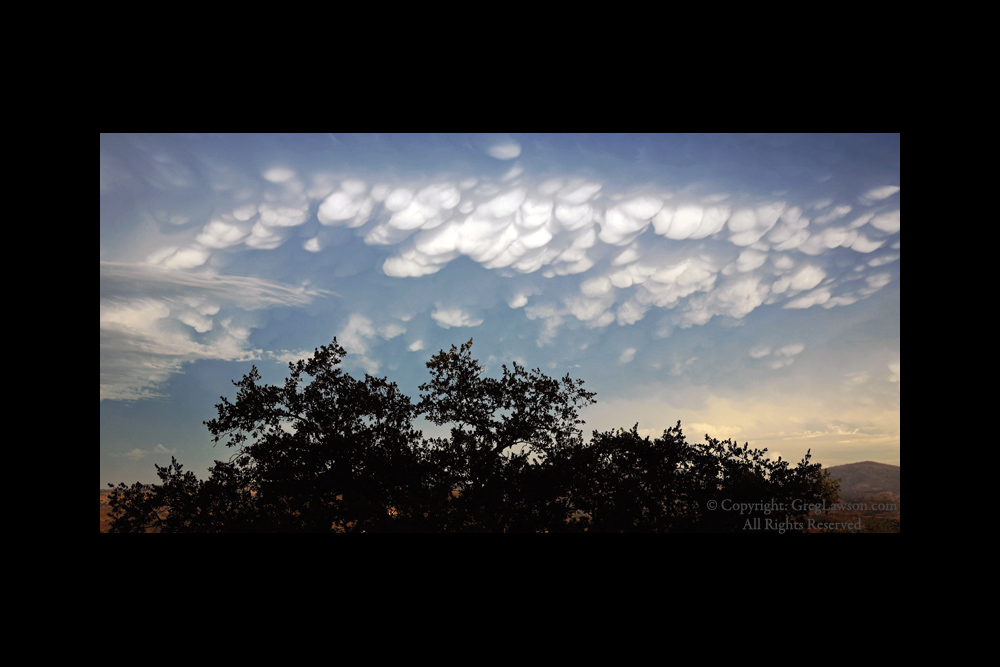 Mammatus cluster and oak in the Southwest USA, Greg Lawson Galleries, Sedona