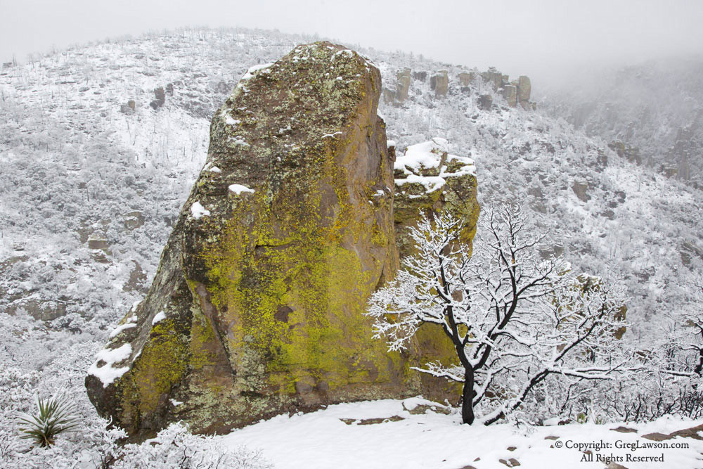 Winter's wonder at Chiricahua National Monument in southern Arizona, Greg Lawson Galleries