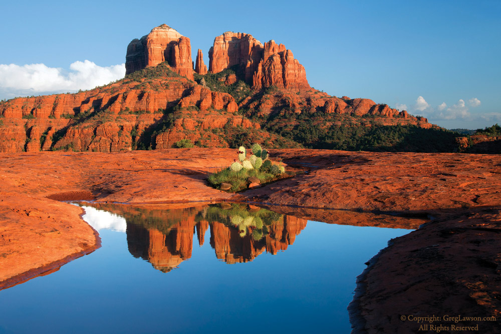 Cathedral Rock Reflection, Sedona, Arizona, Greg Lawson photography art galleries, Sedona