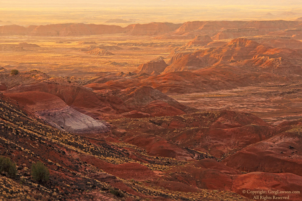 Golden tint at end of day, Painted Desert, Greg Lawson photography art gallery, Arizona