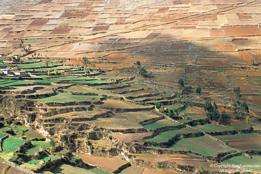 Peruvian Highlands, South America, Greg Lawson Photo Galleries