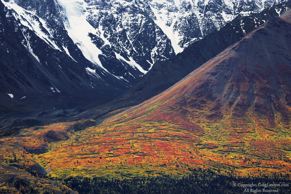 Three seasons in the Yukon Territories, Canada, Greg Lawson Photography art gallery Sedona