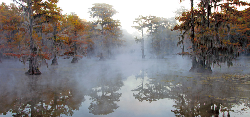 Greg Lawson Photography Caddo Lake