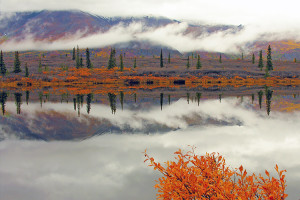 greglawson-octoberphest-alaska-copy