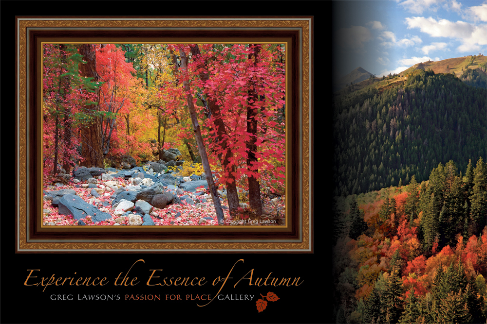 Autumn in Sedona, Greg Lawson Galleries Photography