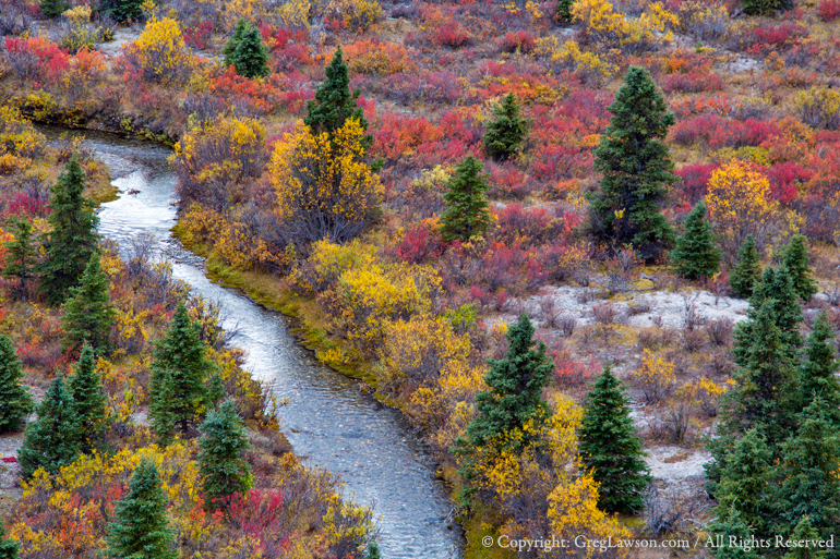 Alaska Autumn, copyright Greg Lawson Photography, Greg Lawson Galleries, Sedona