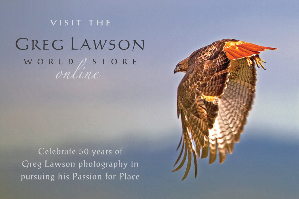 Visit the Greg Lawson Photography Gallery in Sedona, Arizona or the Greg Lawson World Store online at www.GregLawson.com