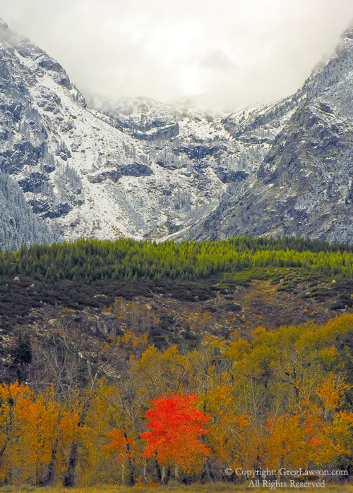 Change of seasons in the Teton Mountains, Wyoming, Greg Lawson Photography