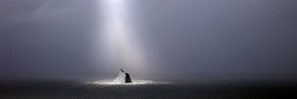 Greg Lawson Photography Whale