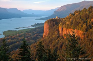 Columbia River Vista         