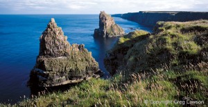 Duncansby        