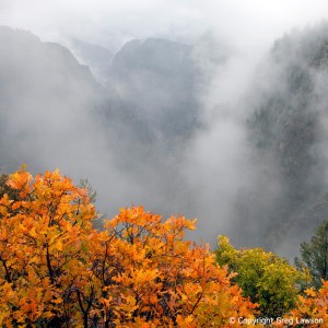 Black Canyon of the Gunnison          