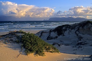 South Africa's False Bay   