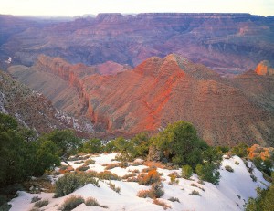 South Rim Spectacle     