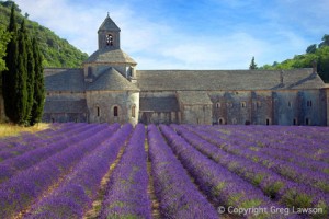 Senanque  