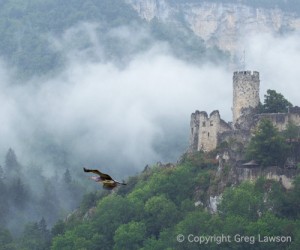 Neu Falkenstein Castle    