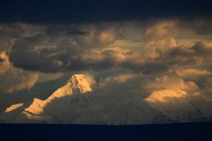 Alaskan Light           