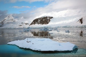 Antarctic Top Ten      