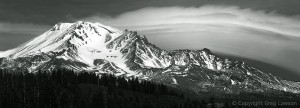 Mount Shasta      