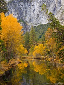 The Yosemite   